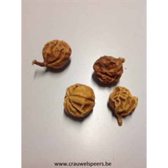 LEATHER FRUIT BLEACHED 30PCS