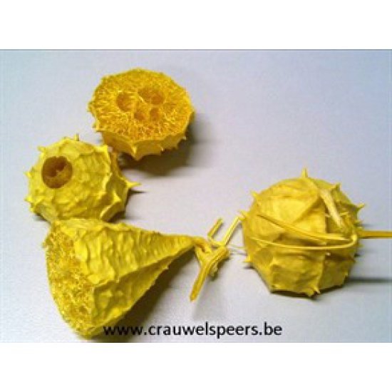 LUFFA SPIKY DEMI JAUNE 20PCS