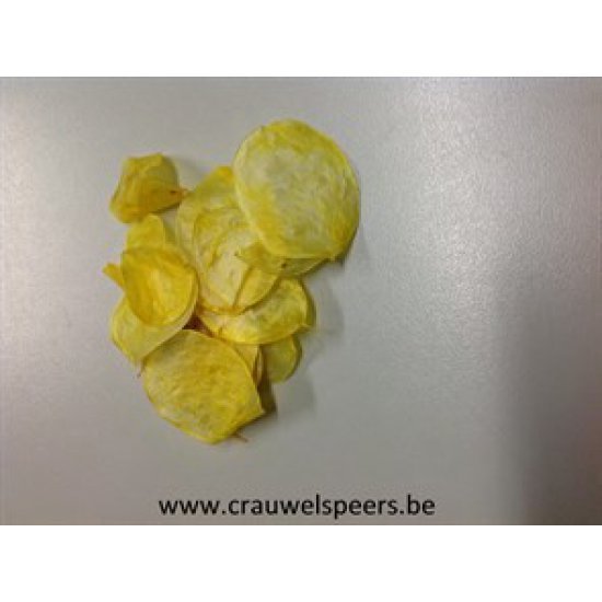 LUNARIA YELLOW +/-40GR