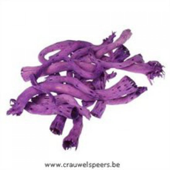 PEPE CUT (CABSTICK/PEPE CONE) AMETHYST +/-500GR