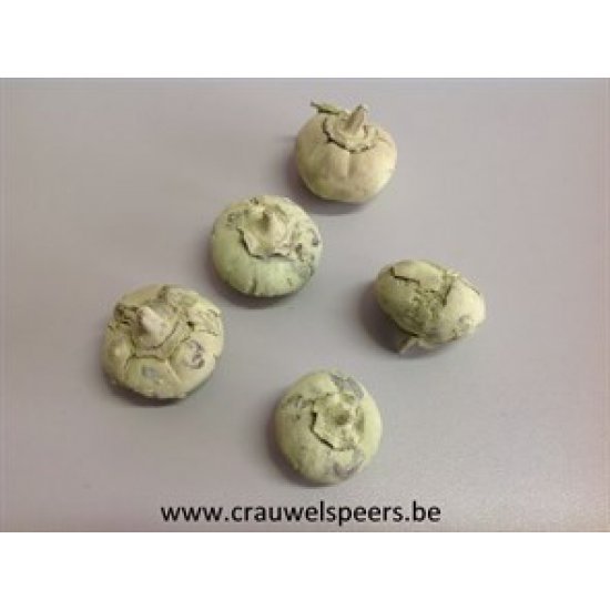 WILD APPLE MINI ROUGH MINT +/-500GR