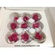 PRESERVED CARNATION – ANJER (BABY) FLAMINGO 9PCS