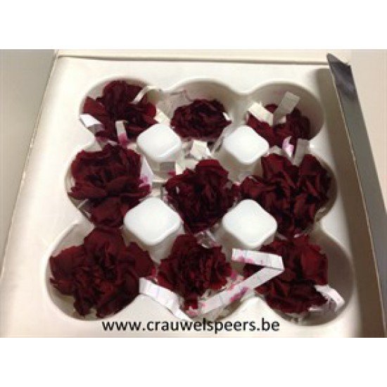 PRESERVED CARNATION – ANJER BORDEAUX 6PCS