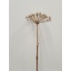 HOGWEED NATURAL 70CM