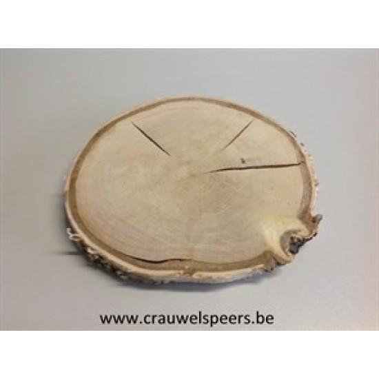 BIRCH SLICE +/-20CM +/-2.5CM NATURAL