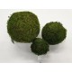 SPHERE GREEN MOSS PRESERVED 20CM