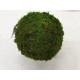 BOULE MOUSSE VERT SATBILISEE 20CM