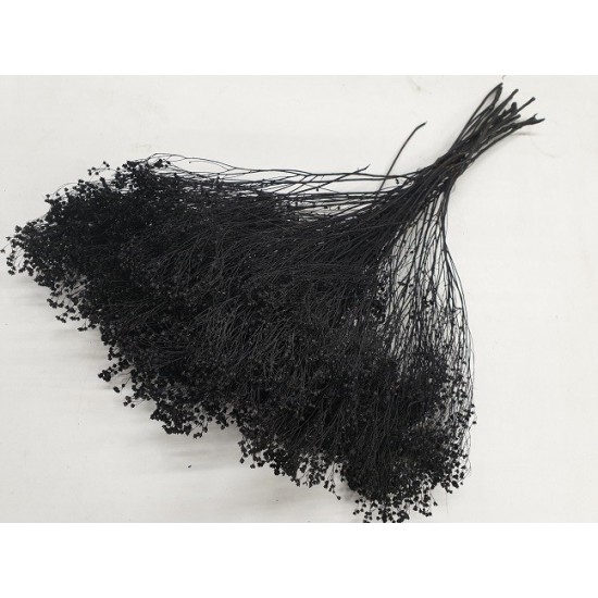 BROOM BLOOM BLACK +/-100GR