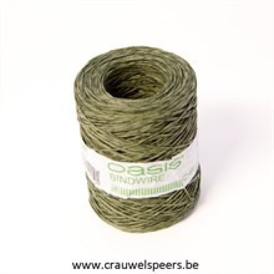 BINDWIRE 205M FROSTED GREEN 1PC