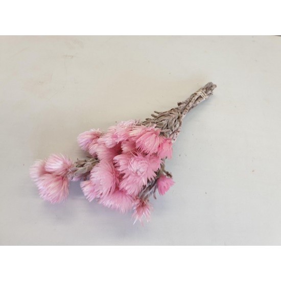 CAPBLUMEN LARGE 30CM PINK  +/-50GR