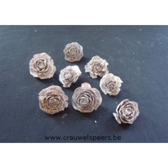 CEDER ROSE WHITE WASH 40PCS