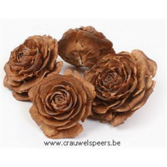 ROSE CEDER NATUREL