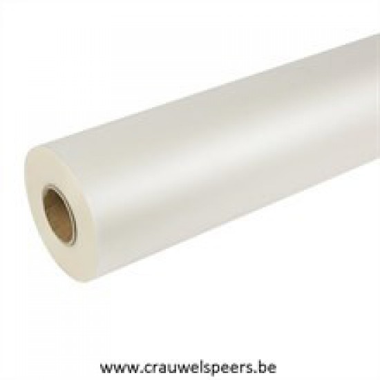 CELLOPHANE 60CMX300M FROSTED