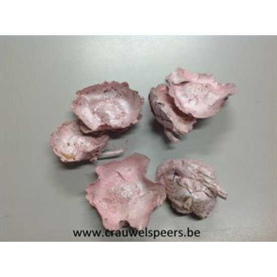 COCO FLOWER PEARL PINK +/-250GR