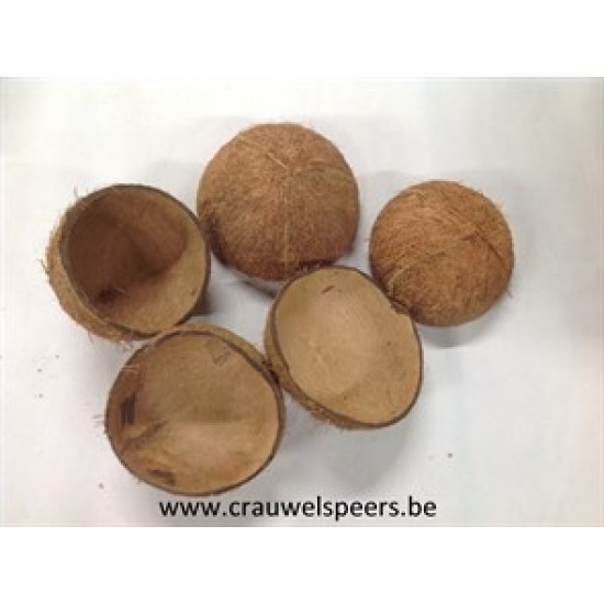 COCO NUT SHELL HALF NATURAL 5PCS