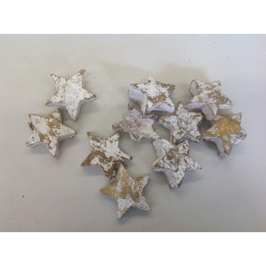 COCONUT STARS 4-5CM WHITE WITH GOLD-TOUCH 100PCS