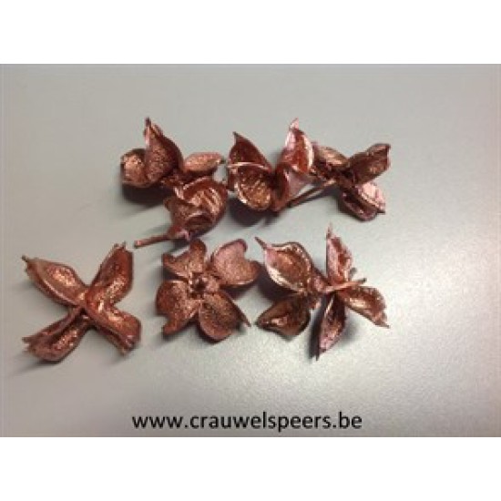 COTTON PODS COPPER