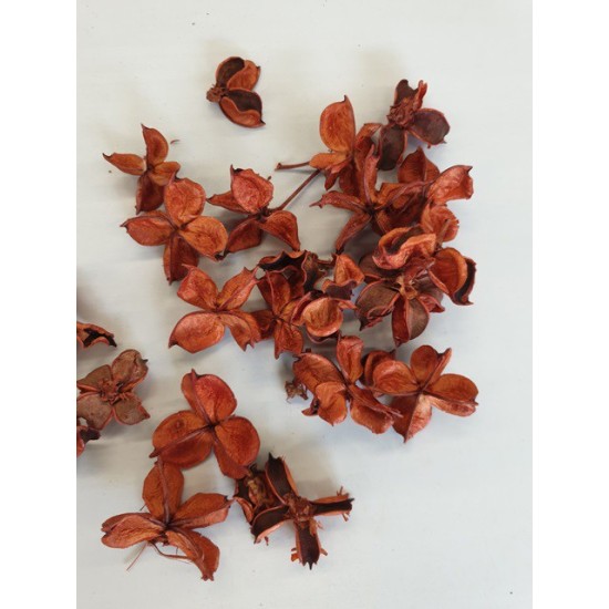 COTTON PODS TERRACOTTA +/-250GR