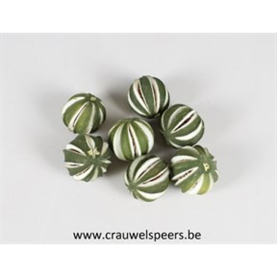 LEMON CARVED GREEN +/-45GR