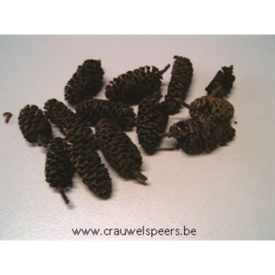 ALDER BIG NATURAL +/-1KG