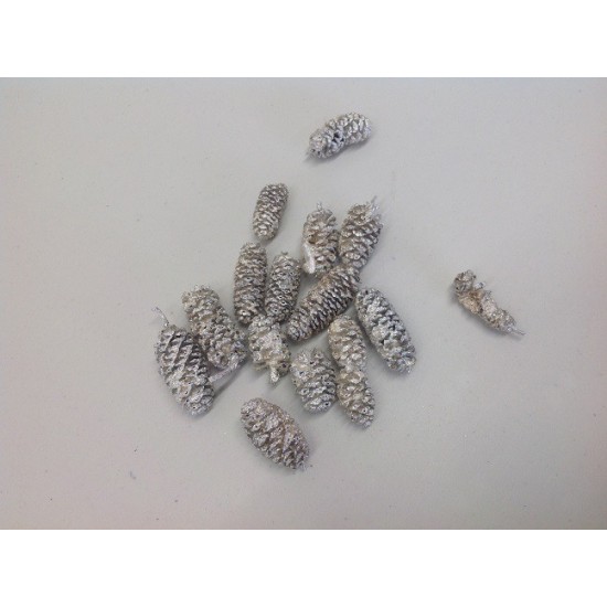 ALDER PEARL WHITE +/-75GR