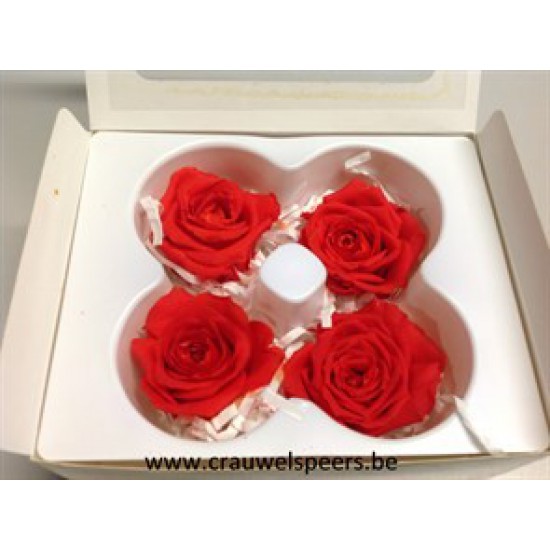 PRESERVED ROSE (LARGE OPEN) +/-6.5CM RED 4PCS