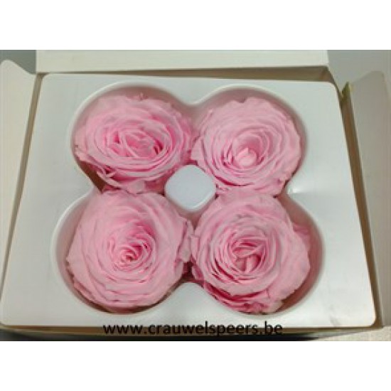 PRESERVED ROSE (LARGE OPEN) +/-6.5CM ROSE  4PCS