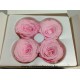 PRESERVED ROSE (LARGE OPEN) +/-6.5CM ROSE  4PCS