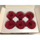 PRESERVED ROSE (MEDIUM OPEN) +/- 4.5CM FLAMINGO 6PCS