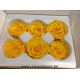 ROSE STABILISEE (MEDIUM OPEN) +/-4.5CM JAUNE 6PCS