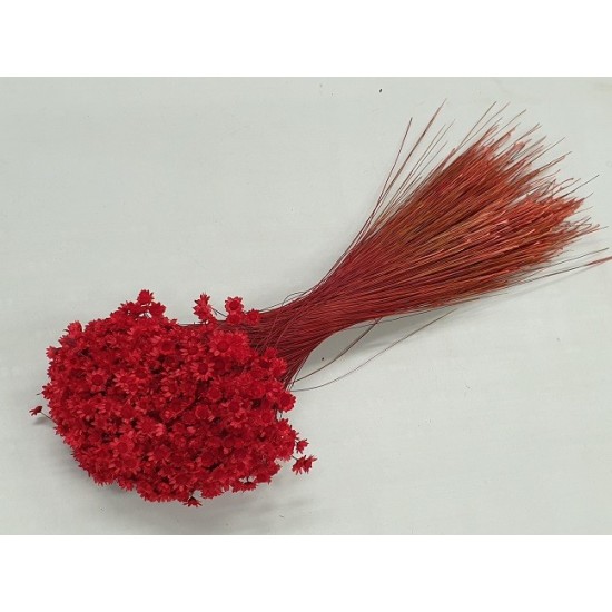 GLIXIA RED +/-100GR