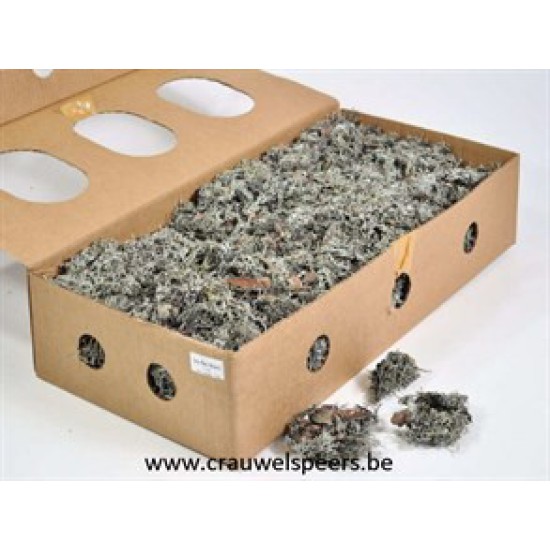 GREY MOSS (LITCHEN MOS) +/-1KG