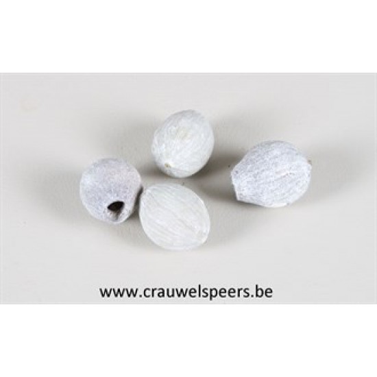 GUMBELLS WHITE WASH 1KG