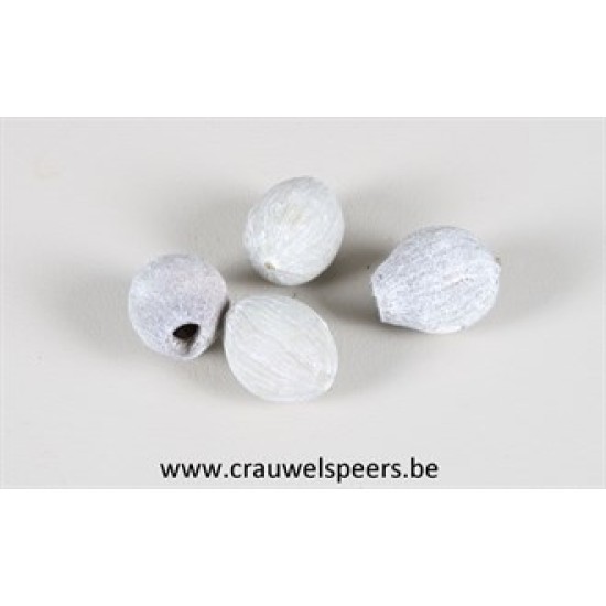 GUMBELLS WHITE WASH