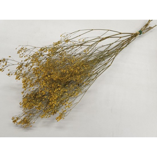 GYPSOPHILA JAUNE 5PCS