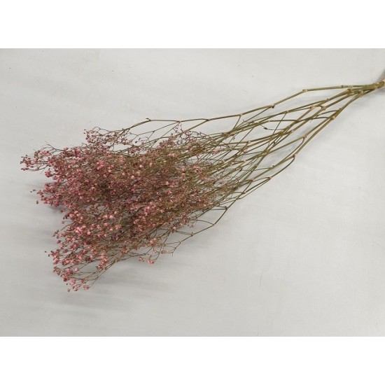 GYPSOPHILA ROZE 5ST