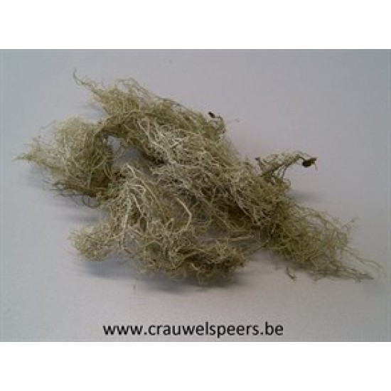 HAIR MOSS NATUREL +/-1KG