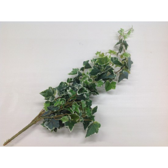 HEDERA 68CM MULTI COLOURED