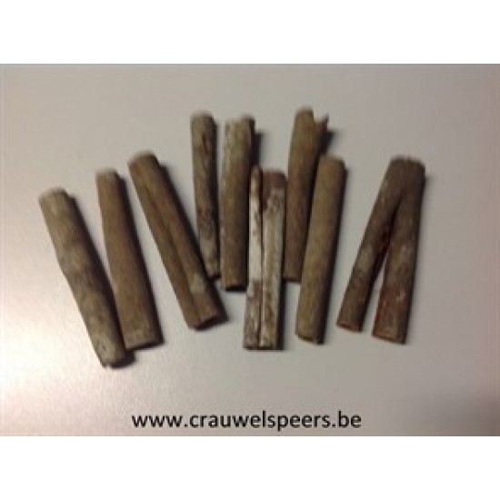 CINNAMON WILD 8CM NATURAL