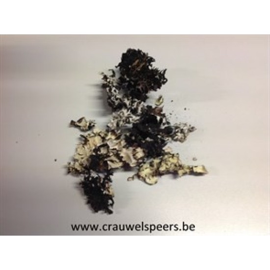 LICHEN +/-225GR