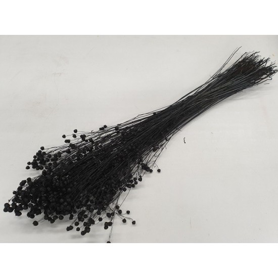 LINUM (FLAX) BLACK +/-100GR