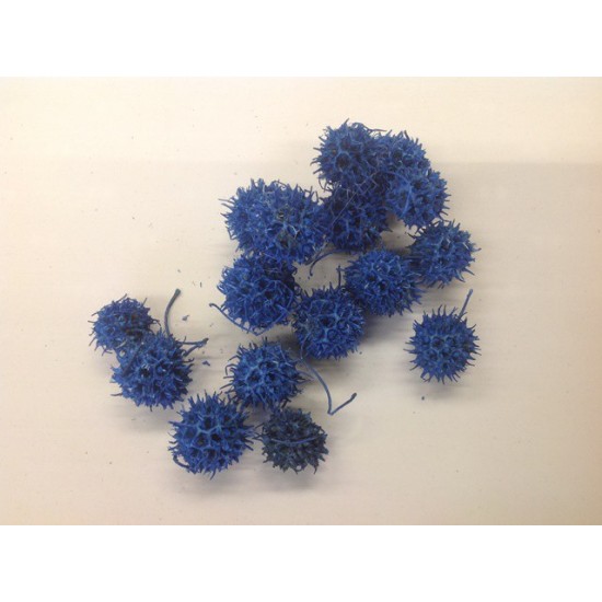 LIQUIDAMBAR (AMBERBAUM) BLAUW +/-150GR