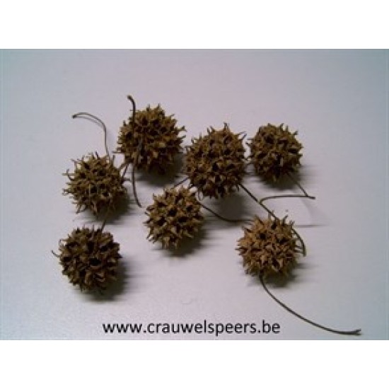 LIQUIDAMBAR (AMBERBAUM) NATURAL +/-150GR