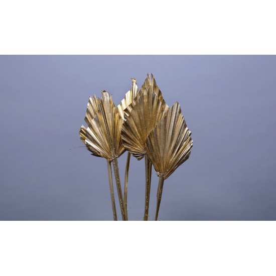 PALM SPEAR GOUD 20ST