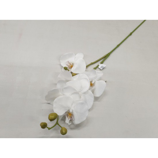 PHALAENOPSIS 60CM WHITE