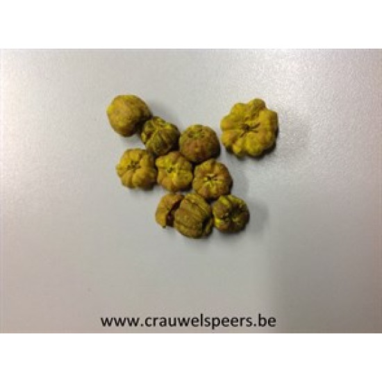 PHUTKA PODS YELLOW