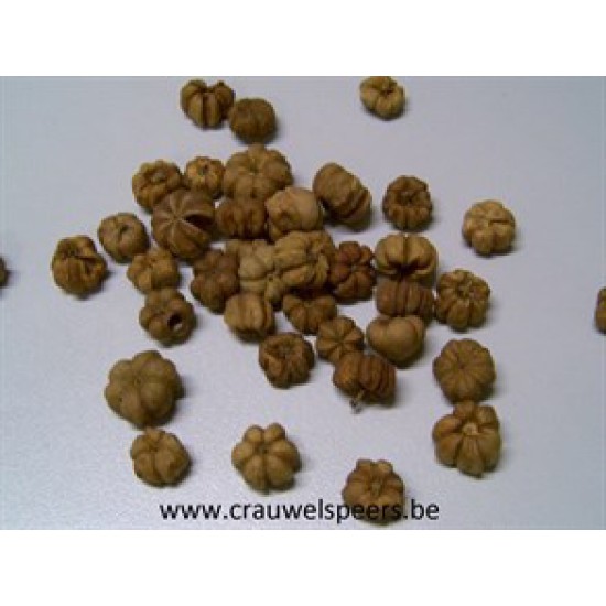 PHUTKA PODS NATUREL +/-250GR