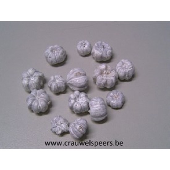 PHUTKA PODS WHITE