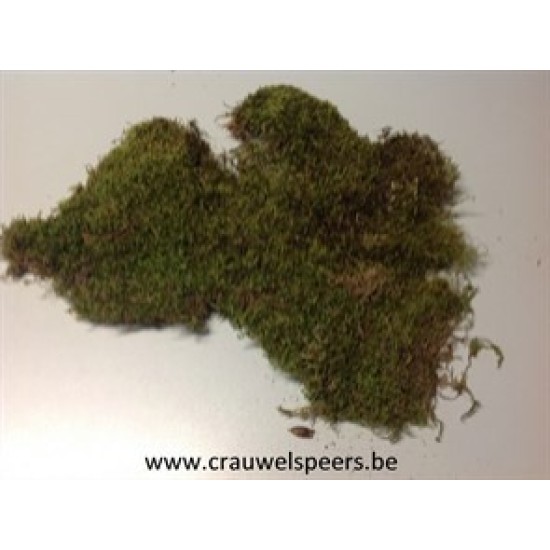 FLAT MOSS NATURAL +/-200GR