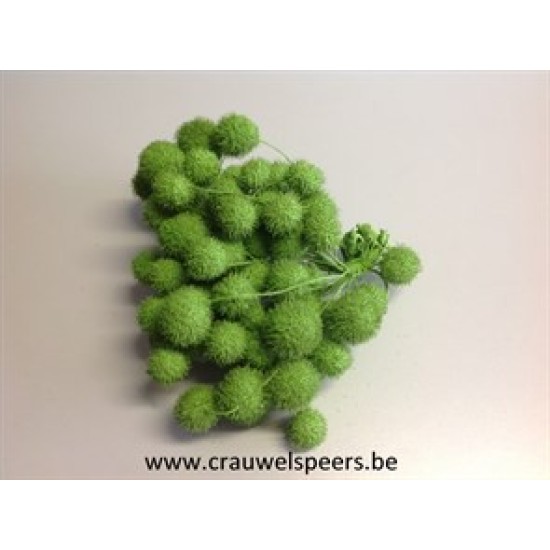 FRUIT DE PLATANE LIME GREEN 1/2